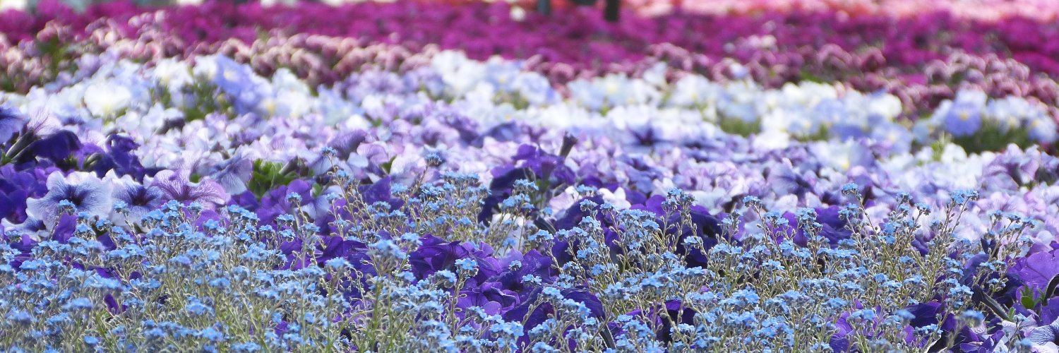KozumailK's profile banner image
