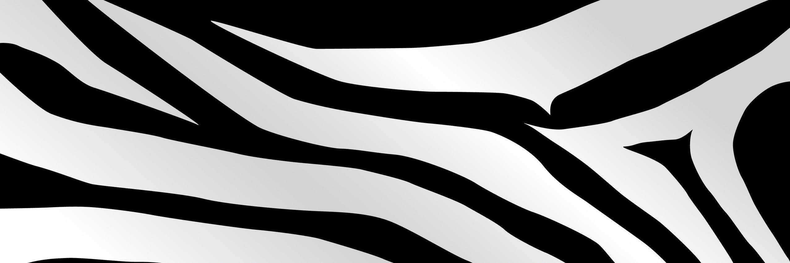 Tessacurls's profile banner image