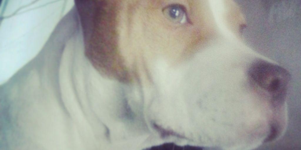 fede19982010's profile banner image