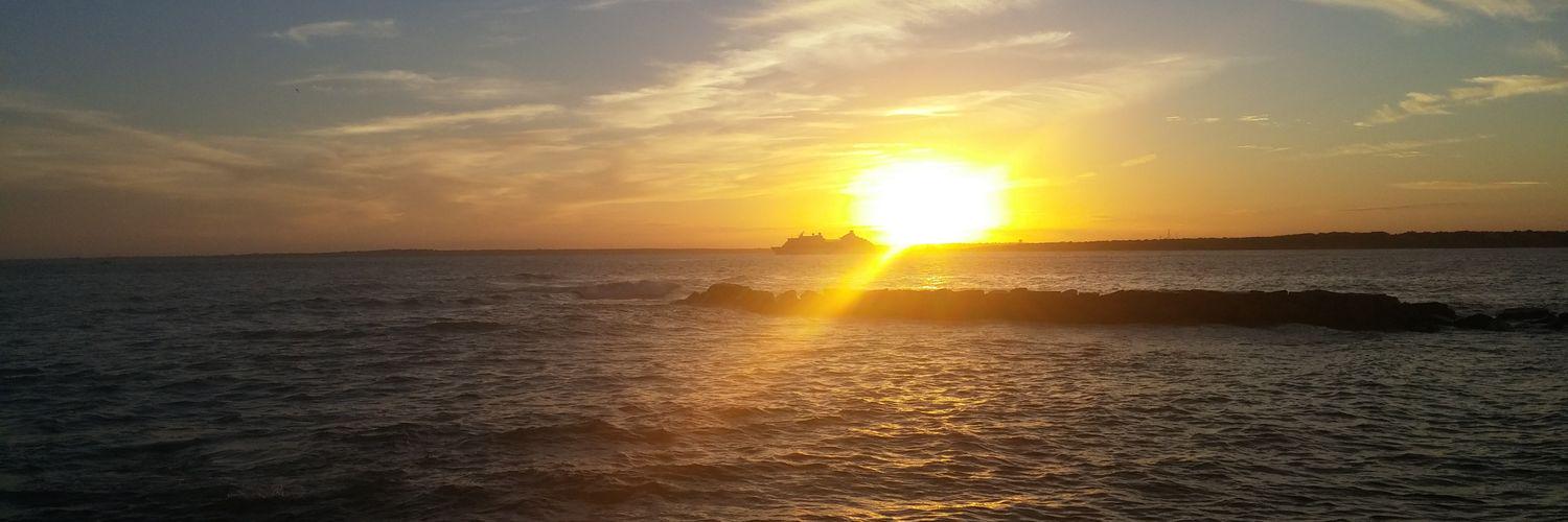 xSammySunshine's profile banner image