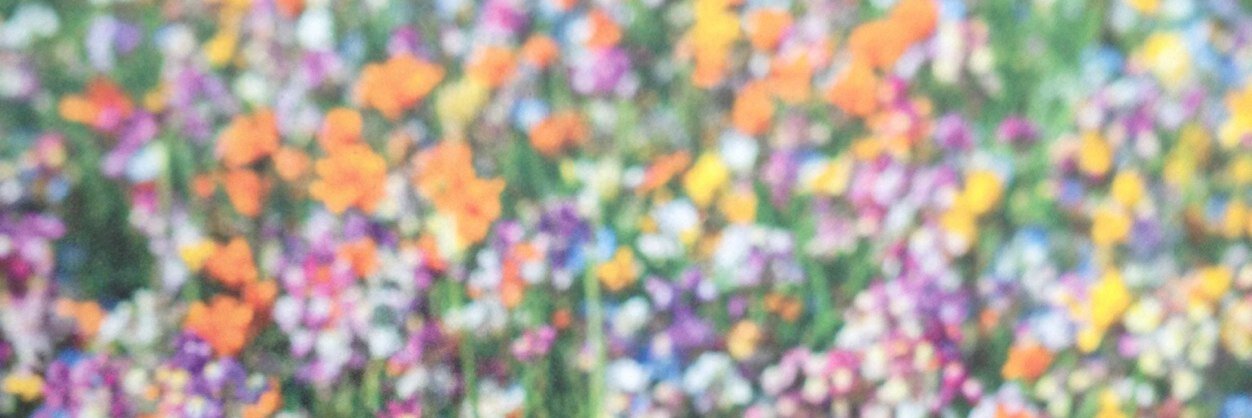 smileymegabunny's profile banner image