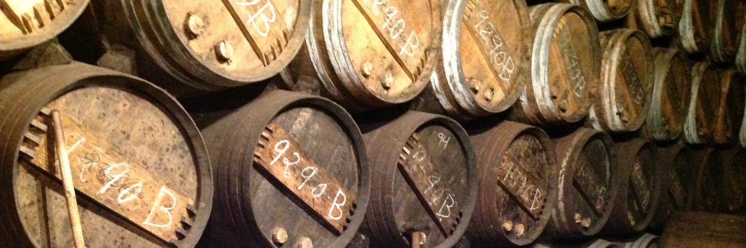 Sara Guiducci banner