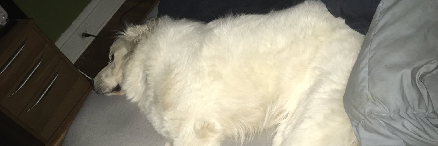 Michael_Daniel1's profile banner image