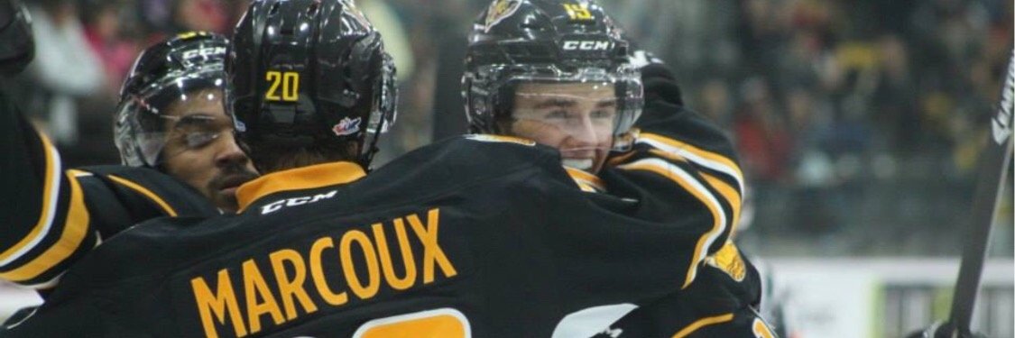 Tigers4lif's profile banner image