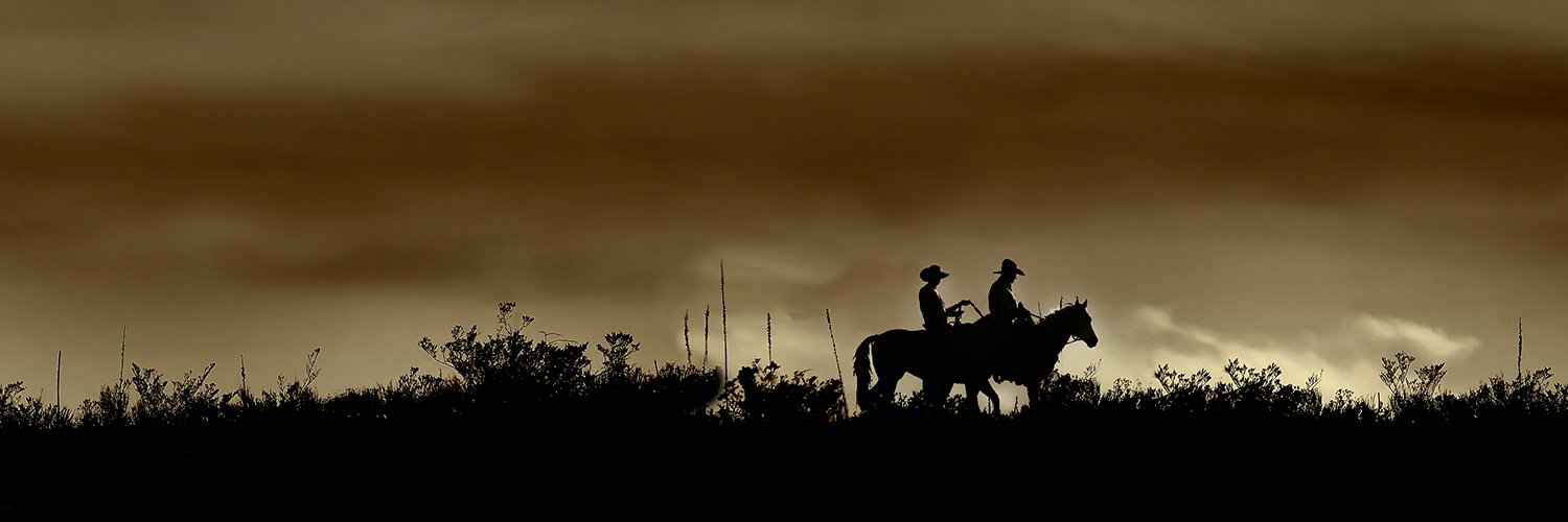 Traces of Texas's banner