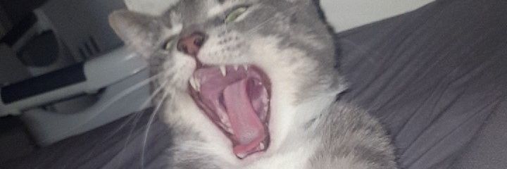 jennahildreth's profile banner image