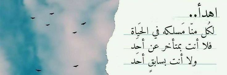 amralshami96's profile banner image