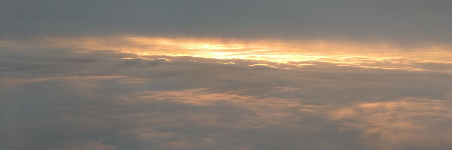irchaa_'s profile banner image