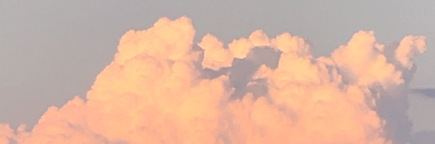 mrizzle29's profile banner image