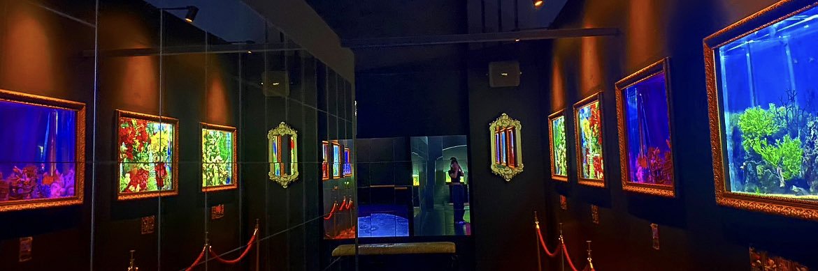 𝐾࿆ banner