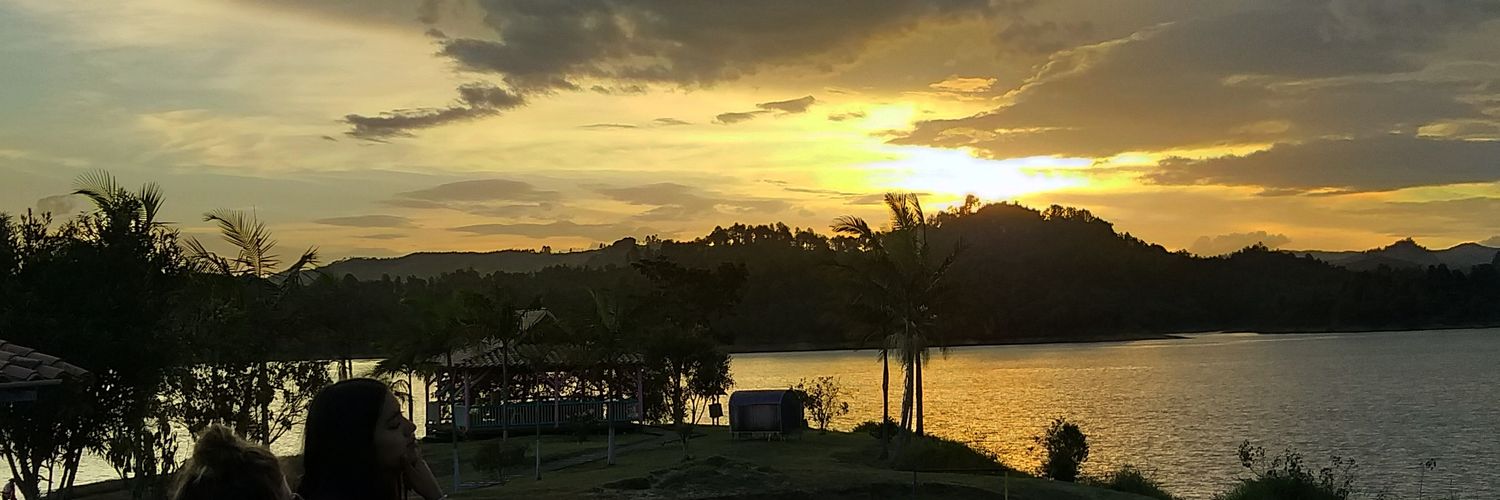 Ladelperro's profile banner image