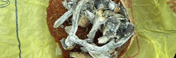 _wavn Profile Banner