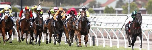 UltraThoroughbreds banner