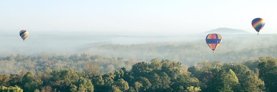 Emilie van Outeren banner