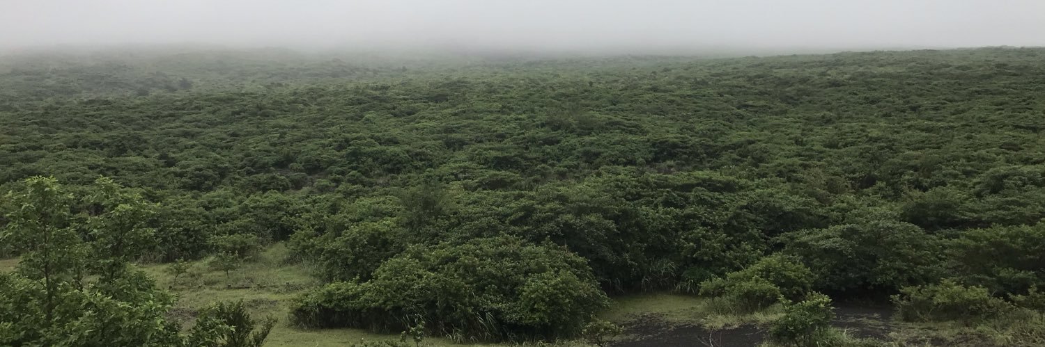 rinjushin's profile banner image