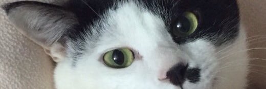 hide_emt's profile banner image