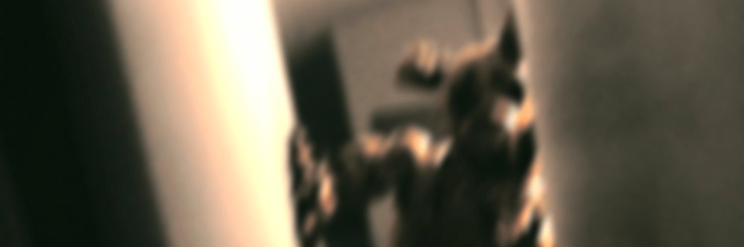 biemsix banner