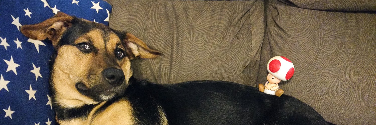 FilipeConsoni's profile banner image