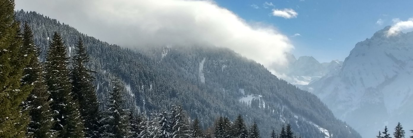 ParmannePiitu's profile banner image