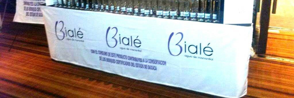 BialeAgua's profile banner image