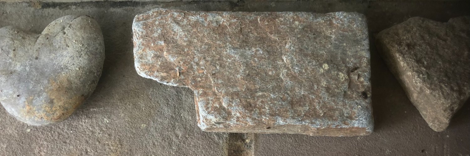 Cindy Lange-Kubick banner