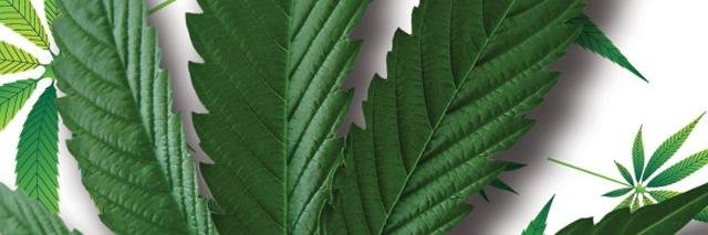 Baked Goodz Apparel banner