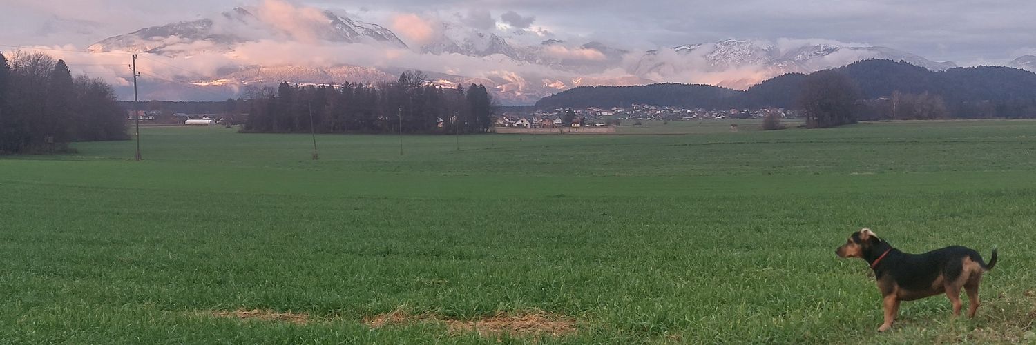 Boštjan Anžin banner
