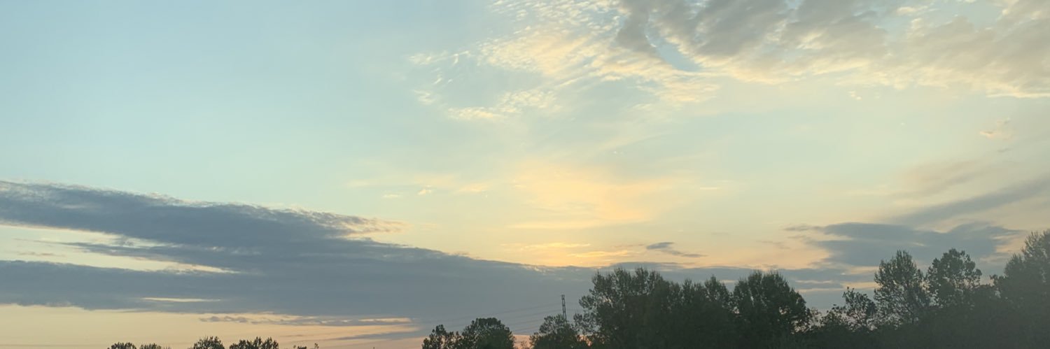 Stephny_n's profile banner image