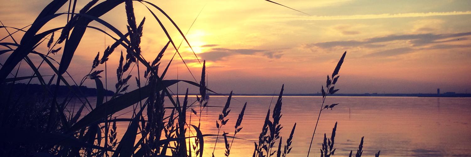resfredag's profile banner image