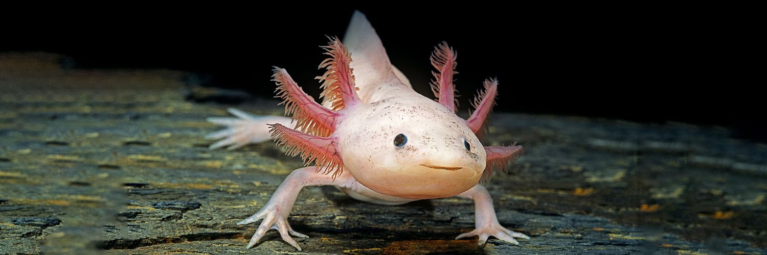 Science News Explores banner