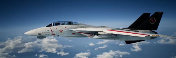 ShiryuGL Profile Banner