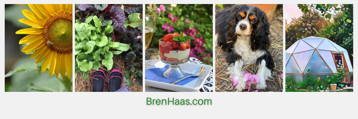Bren Haas banner