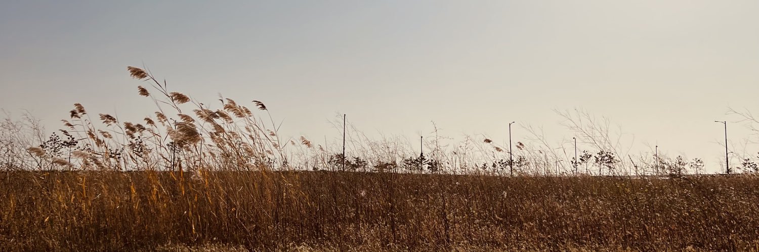 KK_Ran's profile banner image
