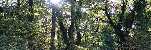 WordWe11's profile banner image