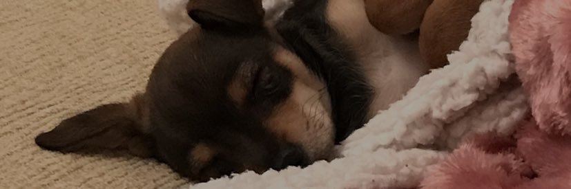 IsabelAlhaja's profile banner image