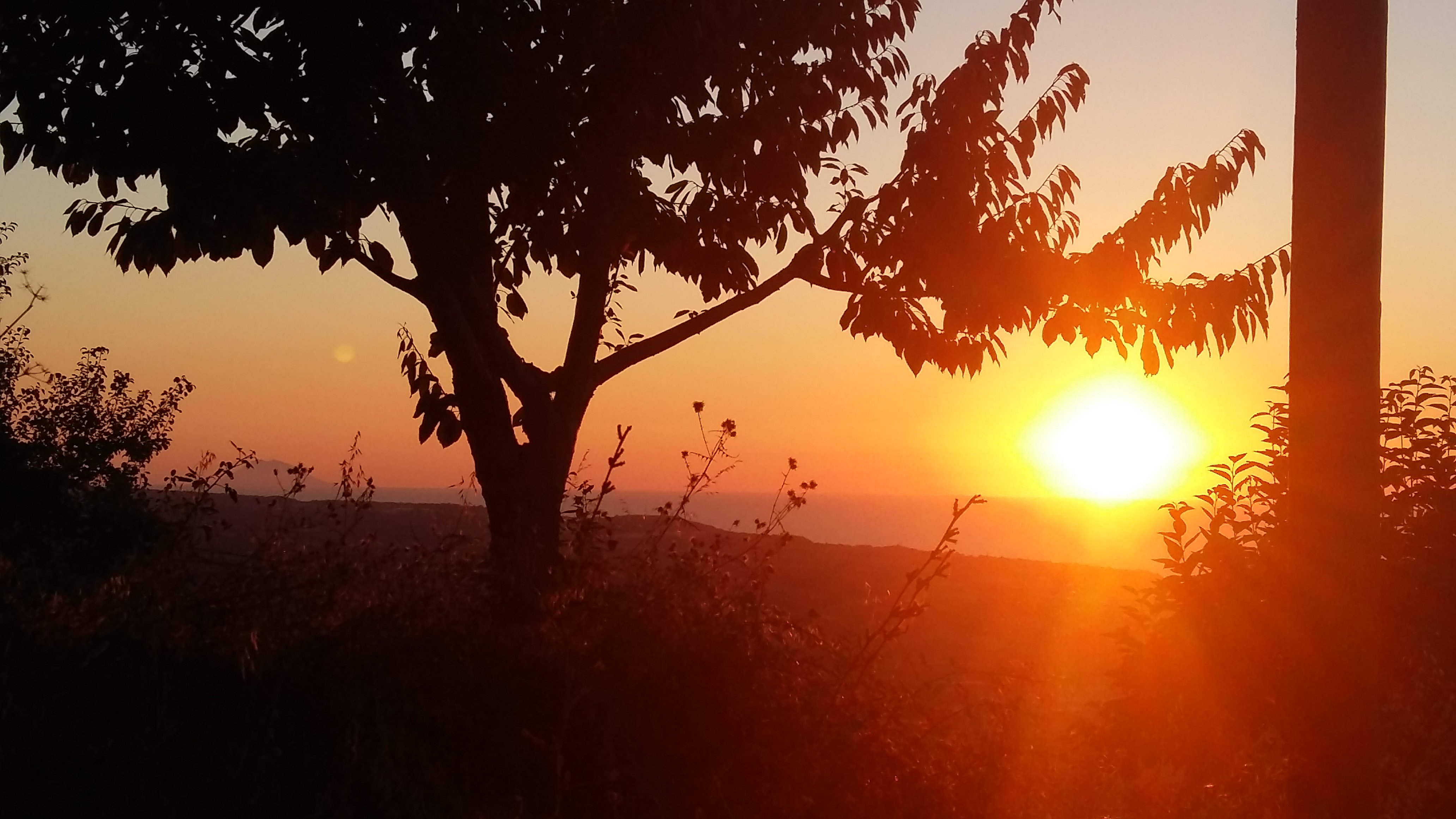 annabolena2014's profile banner image
