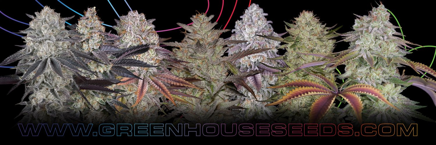 greenhouseseeds's profile banner image