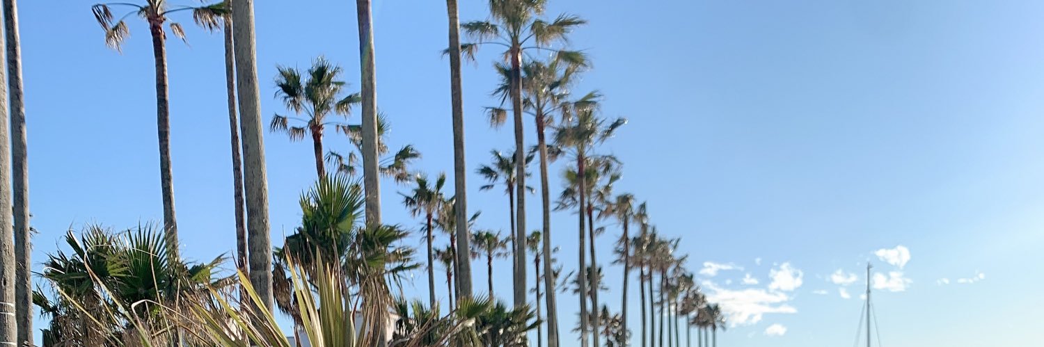 益田アンナ❄️ banner