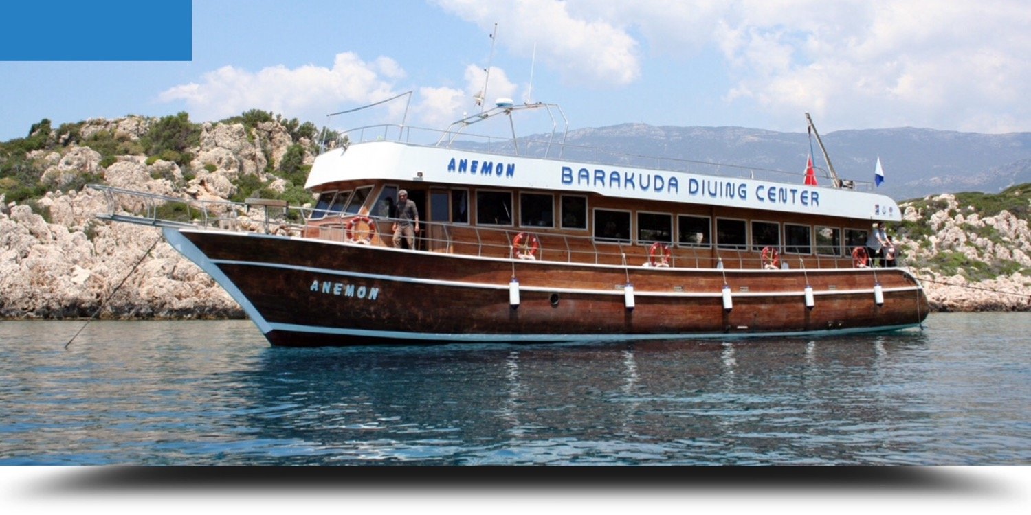 barakudadiving's profile banner image
