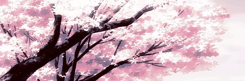 ph_blossom's profile banner image