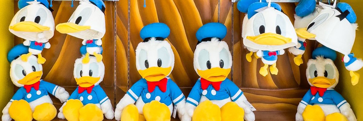 mayumi5804's profile banner image