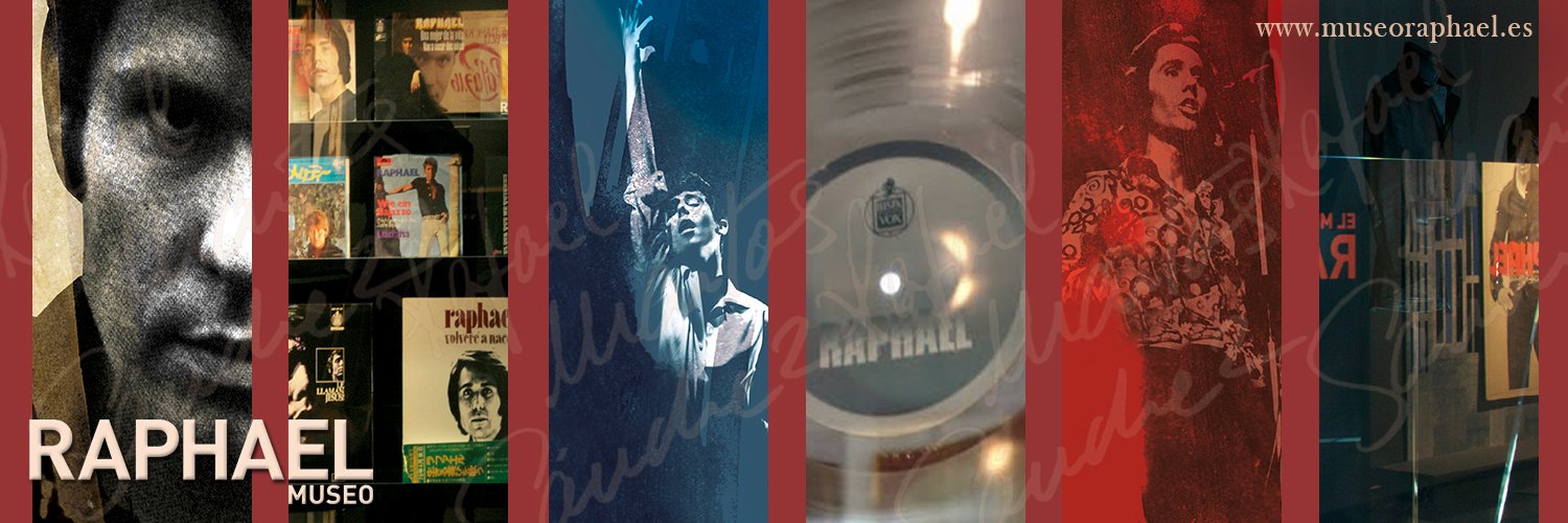 Museo de Raphael banner
