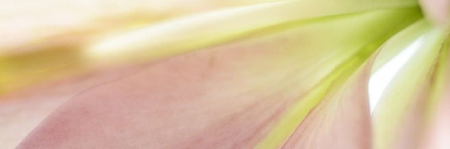monfreesia's profile banner image