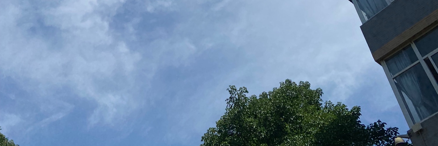 BelievesNobody's profile banner image