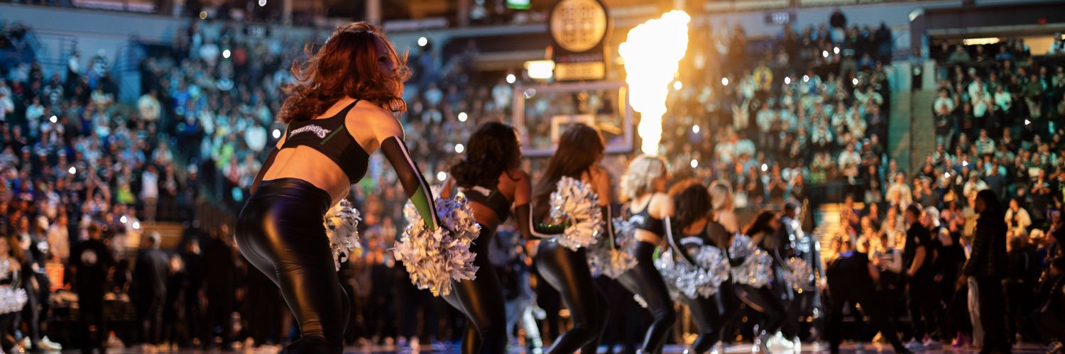 WolvesDancers's profile banner image