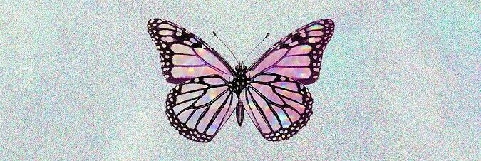 _tainaassis's profile banner image