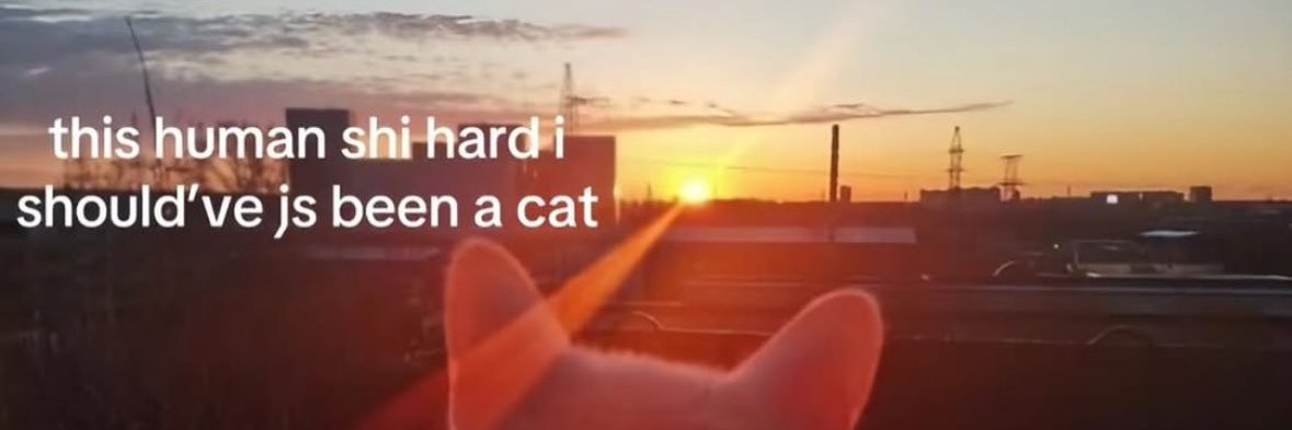 LegendRoboCat's profile banner image