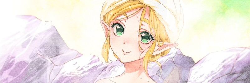 Hyruleprotector's profile banner image