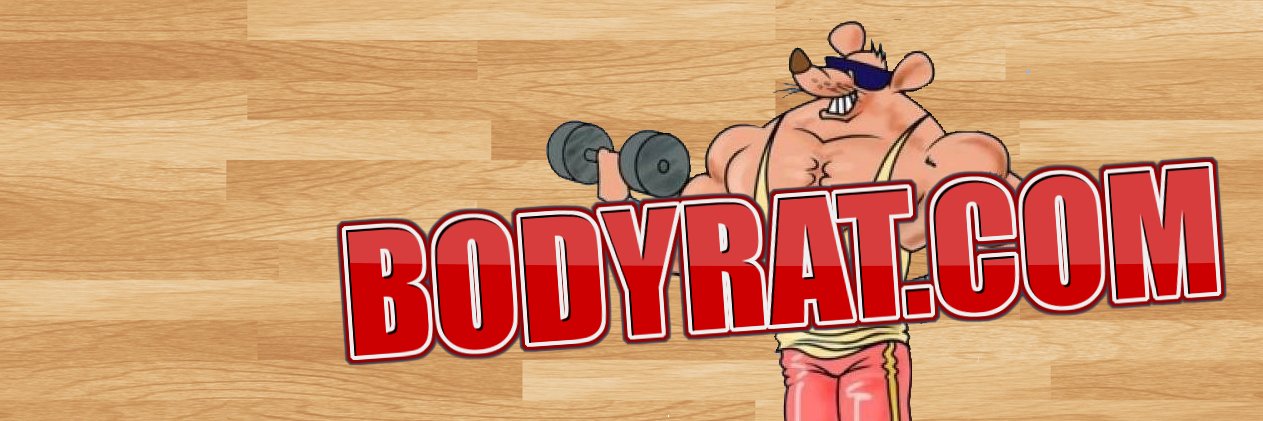 Bodyrat's profile banner image