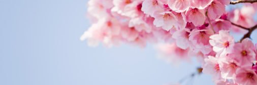 azhane's profile banner image